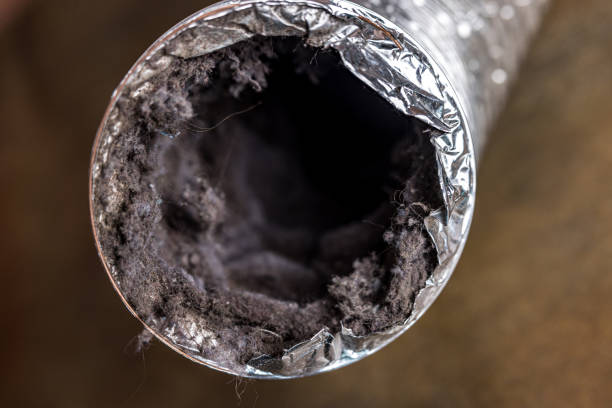 Best Home Air Vent Cleaning  in Elgin, TX